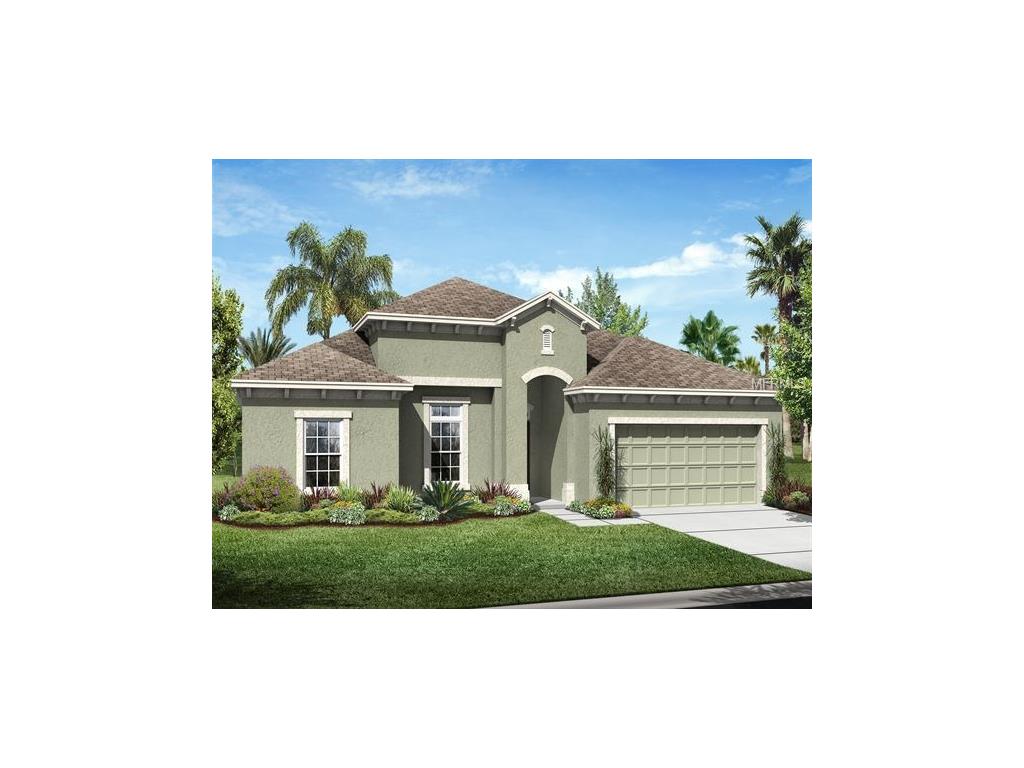 1107 116th St E, Bradenton, FL 34212 photo 1