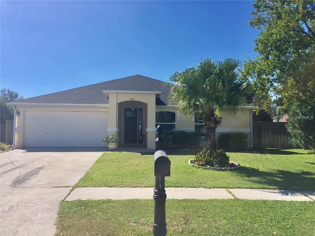 9803 Cristina Dr, Riverview, FL 33569 photo 1