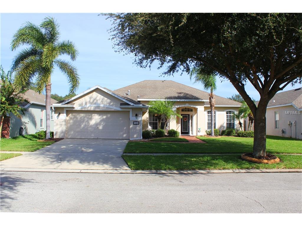 7231 Bucks Ford Dr, Riverview, FL 33578 photo 1