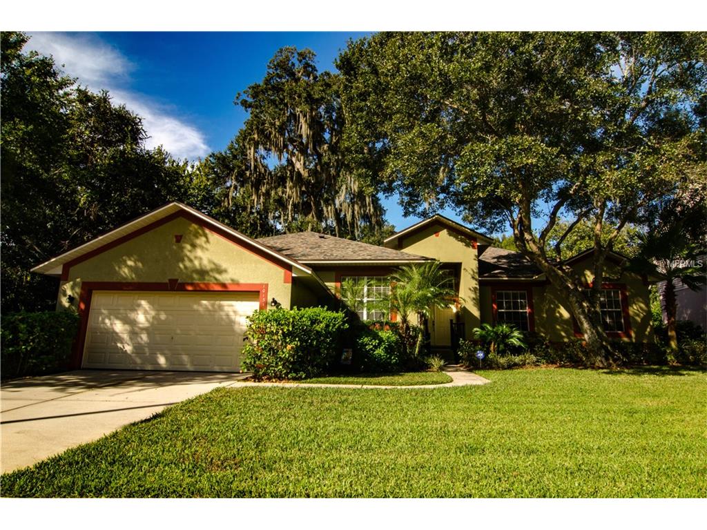 10131 Sedgebrook Dr, Riverview, FL 33569 photo 1