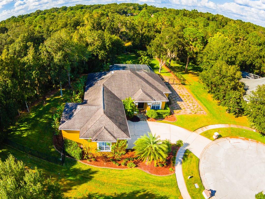 902 Academy Dr, Brandon, FL 33511 photo 1