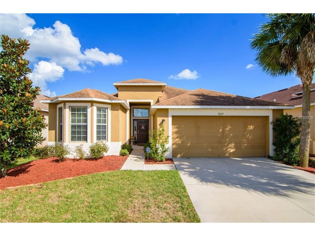 7025 Forest Mere Dr, Riverview, FL 33578 photo 1