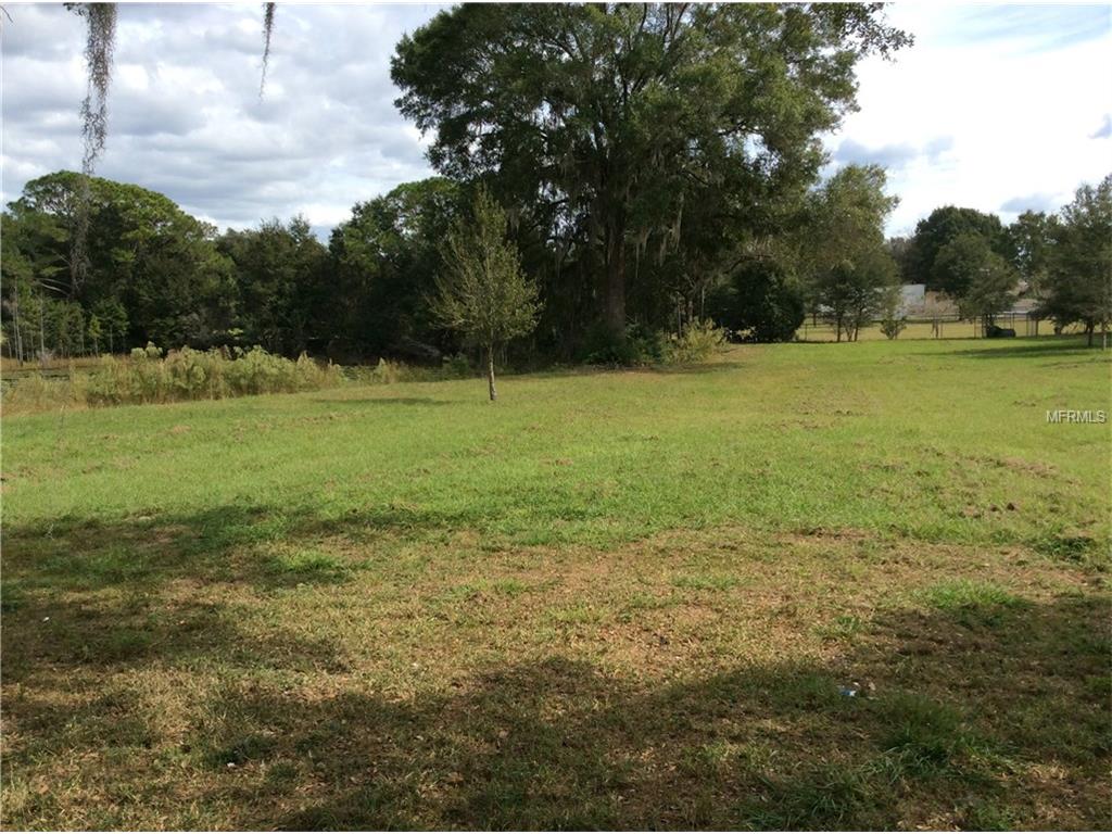 2108 Green Meadow Dr, Lutz, FL 33549 photo 1