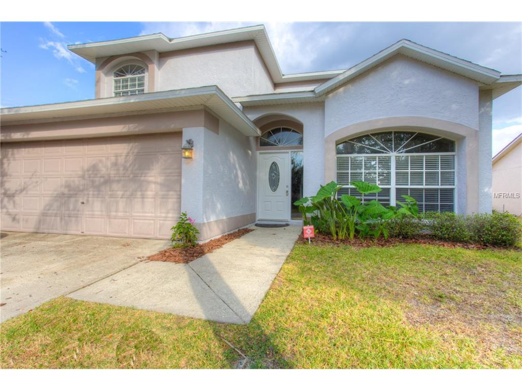 13435 Beechberry Dr, Riverview, FL 33579 photo 1