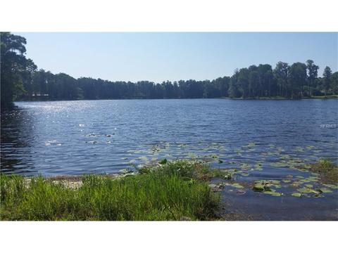 3517 Saddle Back Ln, Lutz, FL 33548 photo 1