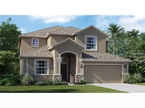 10815 River Hawk Ln, Riverview, FL 33569 photo 1