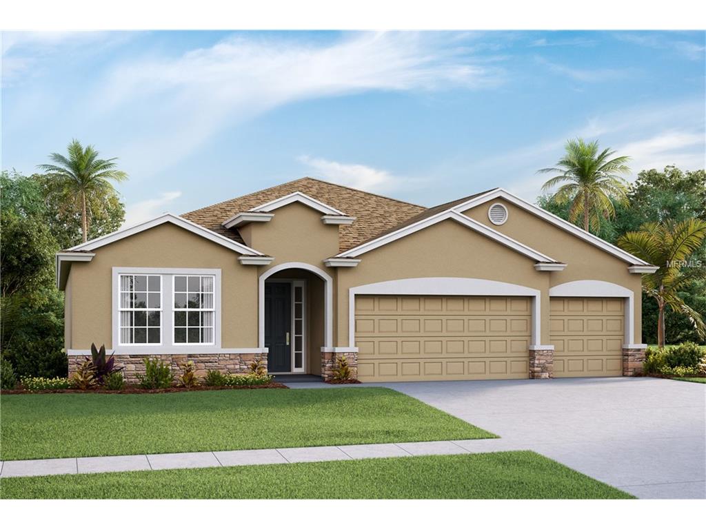 15215 Trinity Fall Way, Bradenton, FL 34212 photo 1