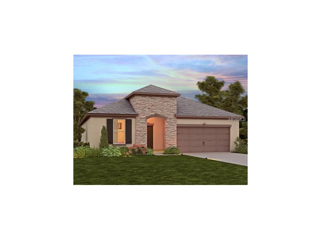 10455 Alcon Blue Dr, Riverview, FL 33578 photo 1