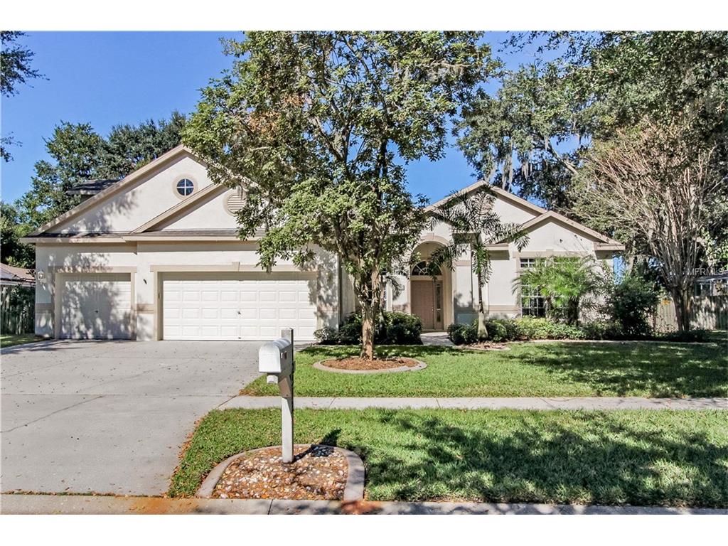 12512 River Birch Dr, Riverview, FL 33569 photo 1