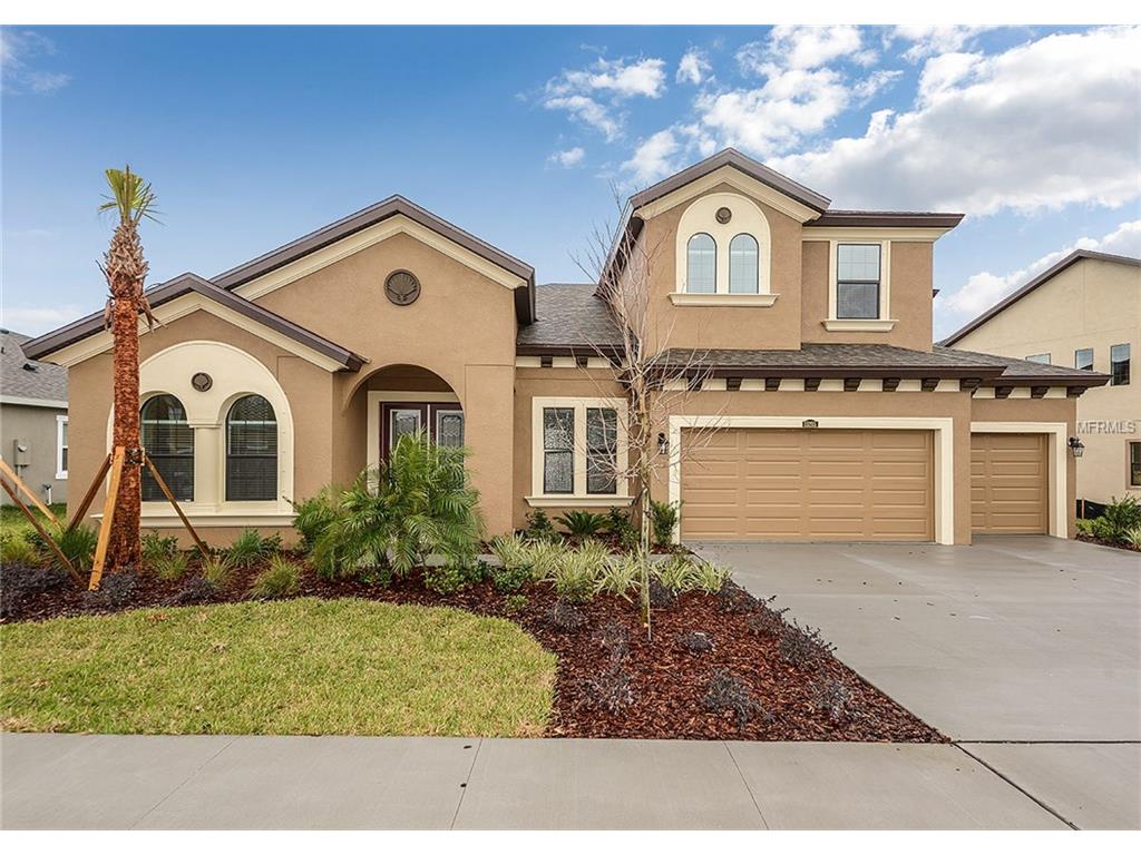 13205 Fawn Lily Dr, Riverview, FL 33579 photo 1