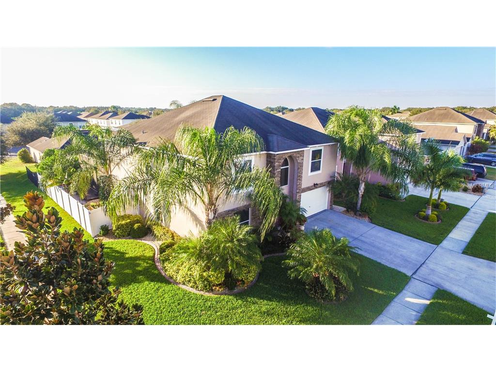 12941 Tribute Dr, Riverview, FL 33578 photo 1
