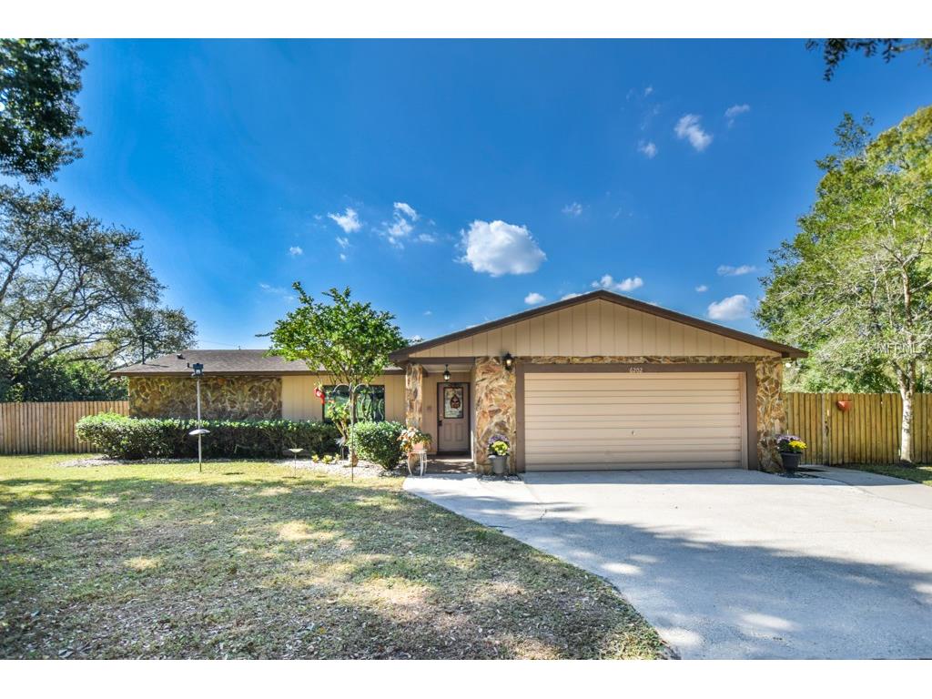 6202 Timmons Rd, Seffner, FL 33584 photo 1