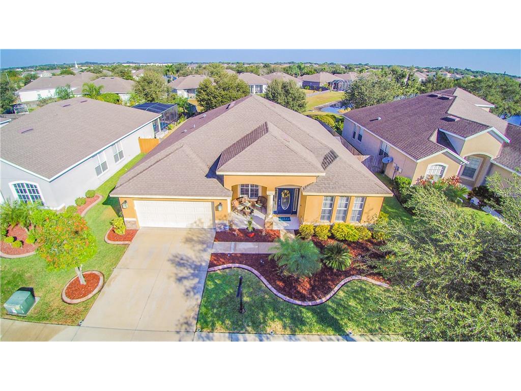 11041 Rockledge View Dr, Riverview, FL 33579 photo 1