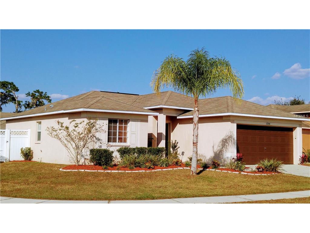 11744 Brenford Crest Dr, Riverview, FL 33579 photo 1