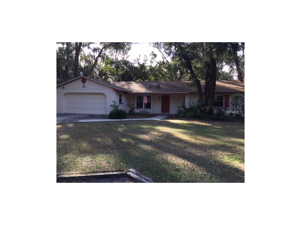 6909 Potts Rd, Riverview, FL 33569 photo 1