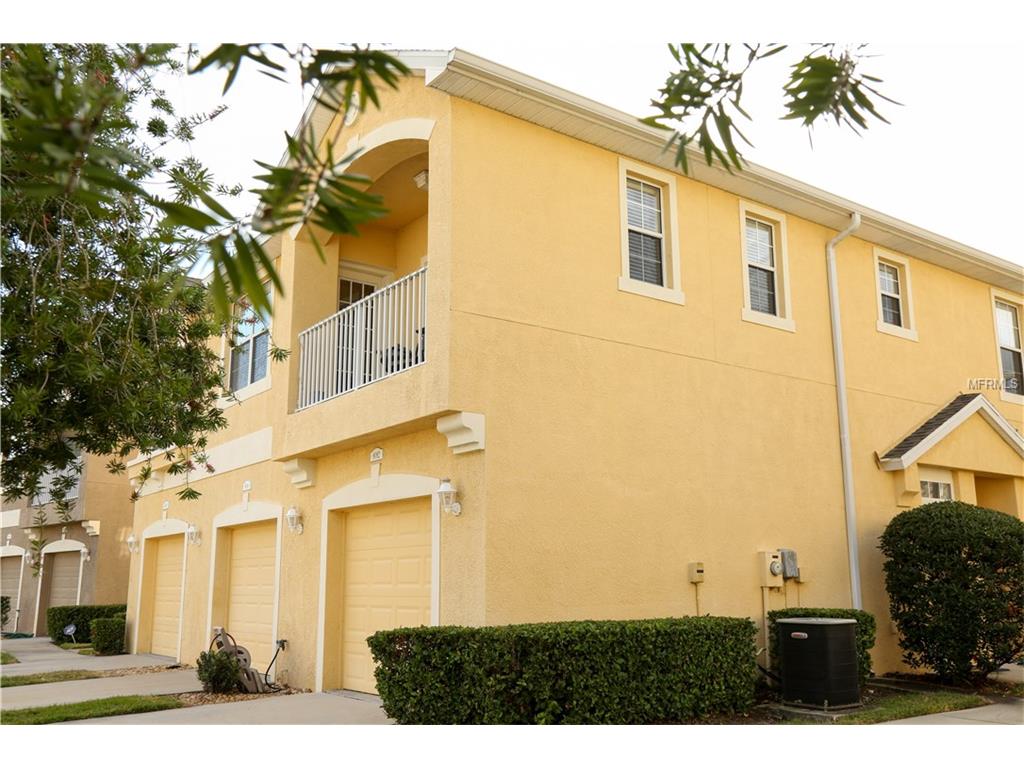 9082 Moonlit Meadows Loop, Riverview, FL 33578 photo 1