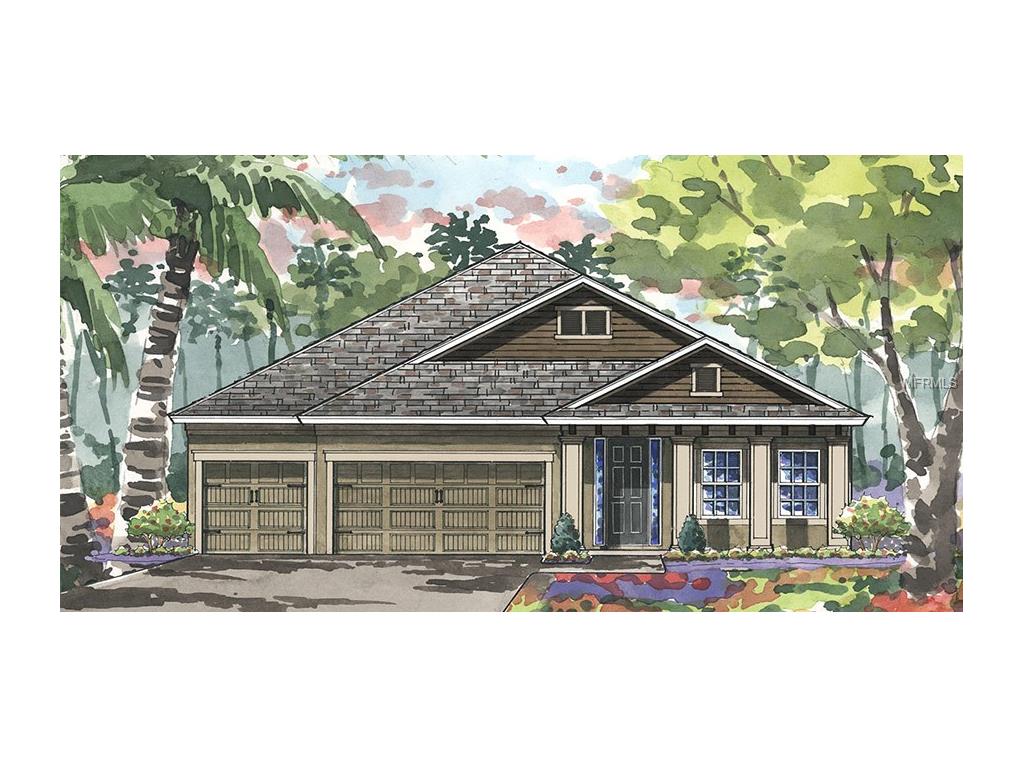 6901 Ebb Tide Ave, Apollo Beach, FL 33572 photo 1