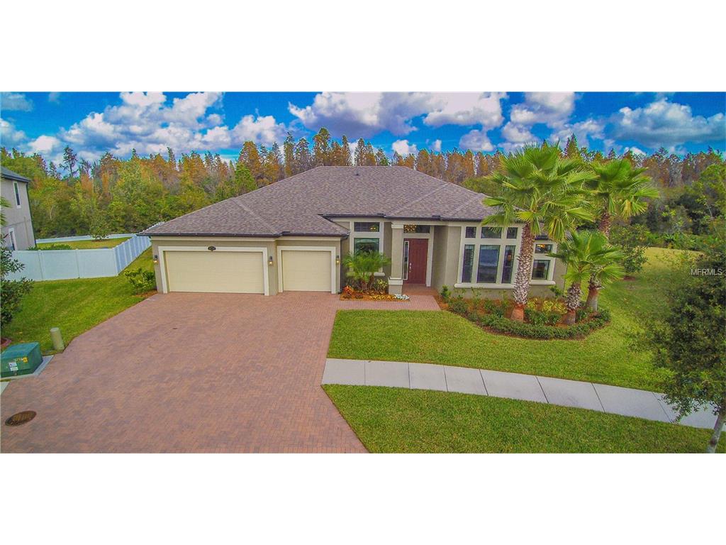 11713 Gilmerton Dr, Riverview, FL 33579 photo 1