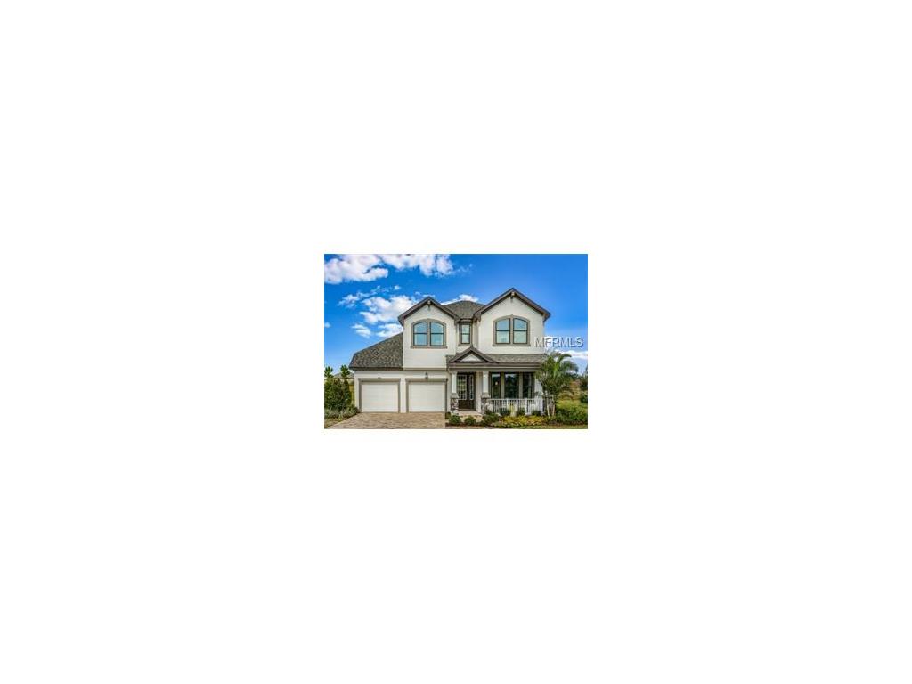 12378 Streambed Dr, Riverview, FL 33579 photo 1