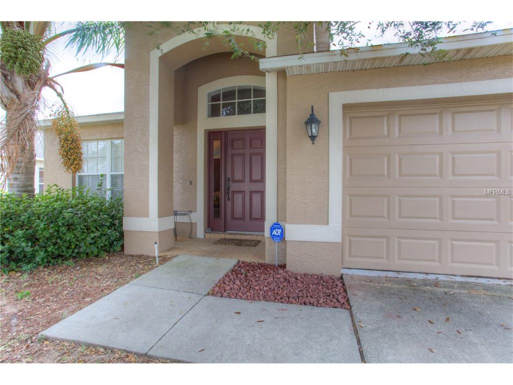 13421 Fladgate Mark, Riverview, FL 33579 photo 1