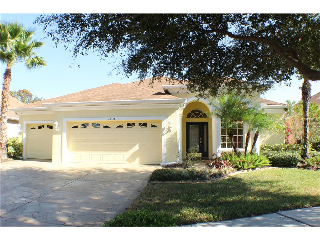 12438 Adventure Dr, Riverview, FL 33579 photo 1
