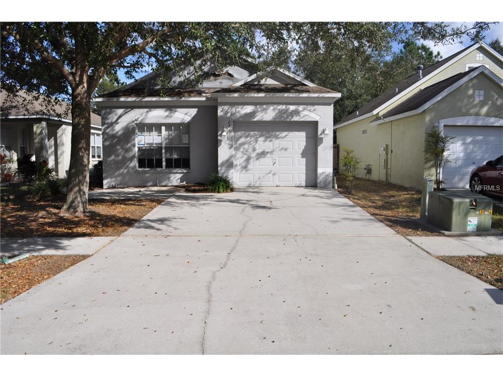 6219 Kiteridge Dr, Lithia, FL 33547 photo 1