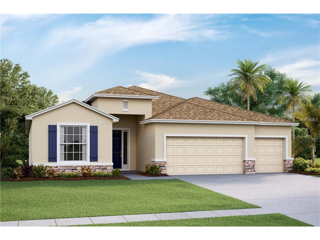 10419 Pleasant Spring Way, Riverview, FL 33578 photo 1
