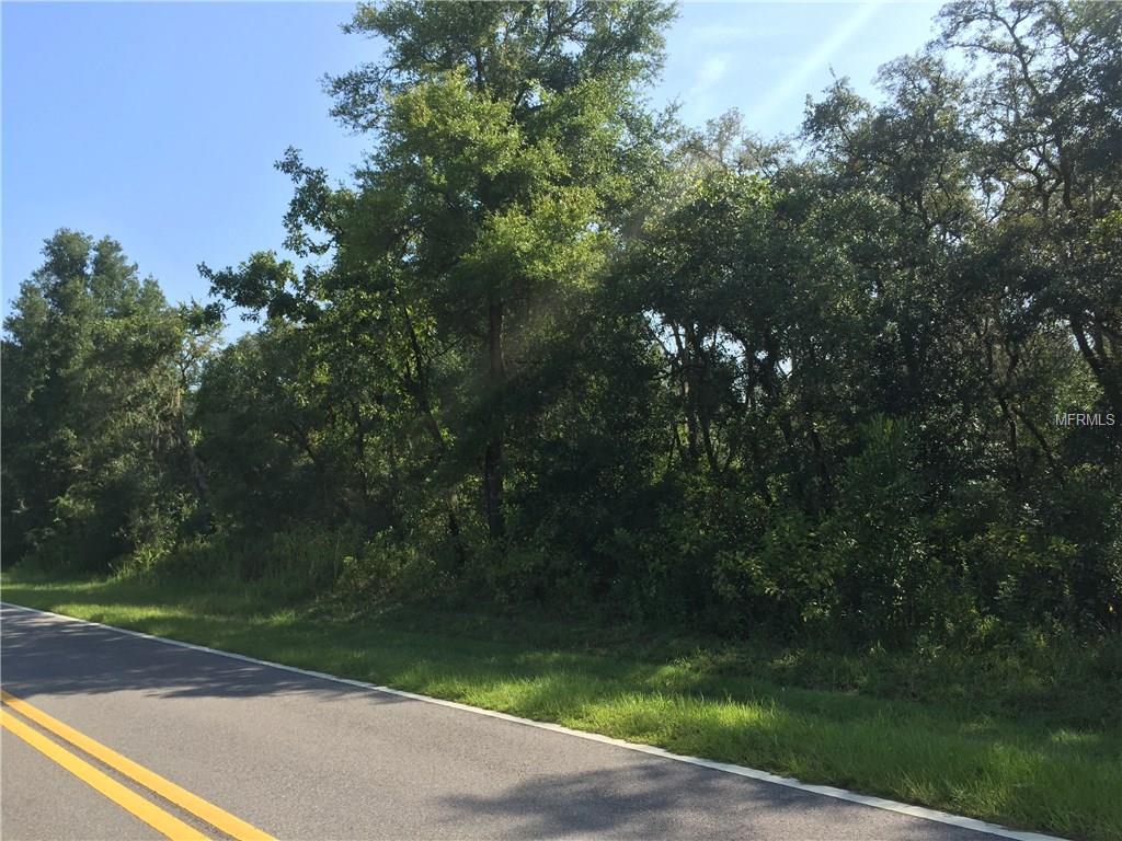 6478 Madonna Dr, Webster, FL 33597 photo 1