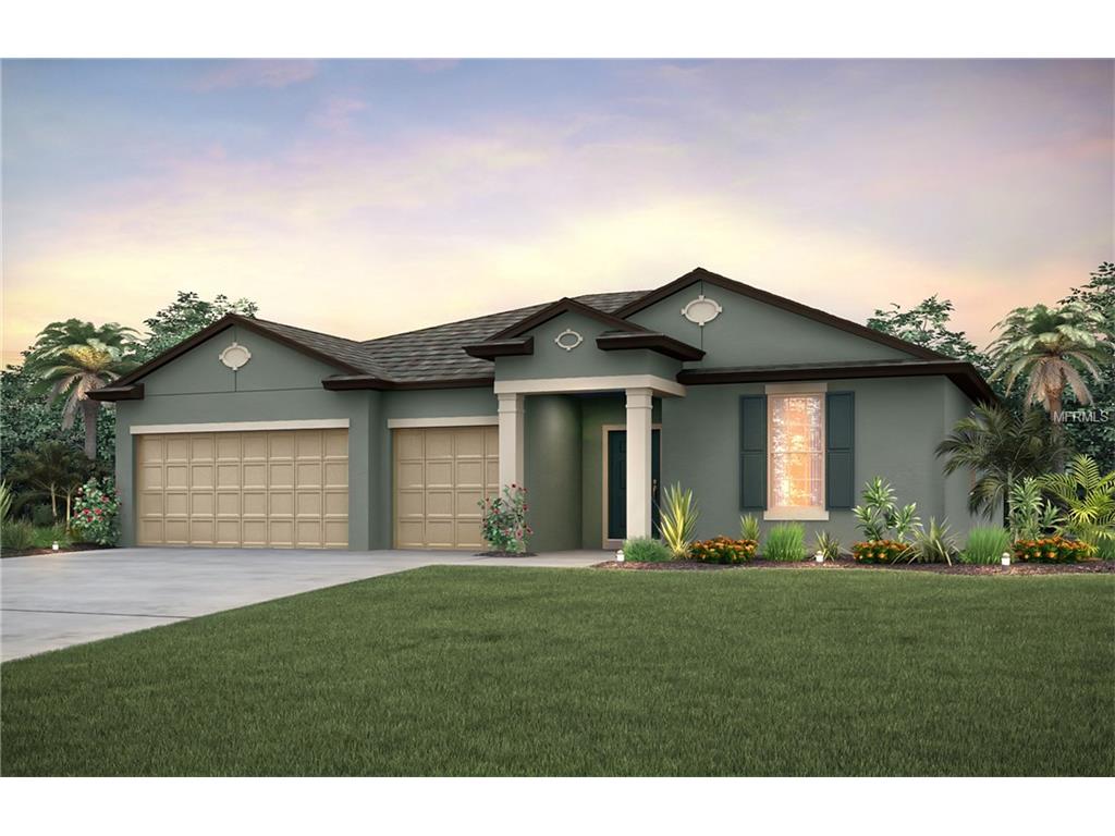 11708 Cork Blarney Loop, Riverview, FL 33579 photo 1