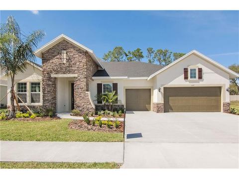 1127 Tracey Ann Loop, Seffner, FL 33584 photo 1