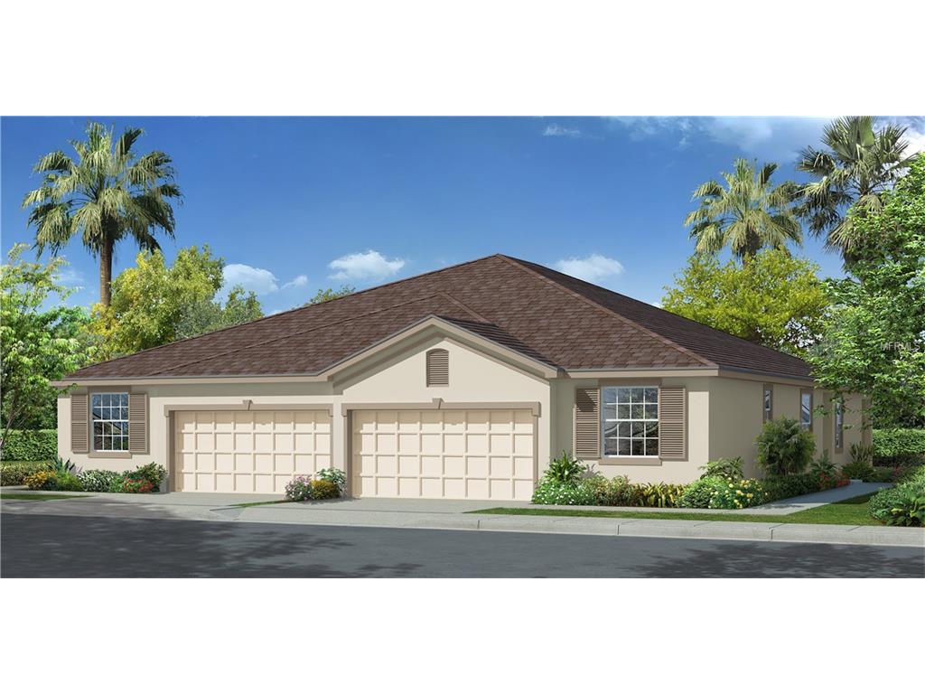 32905 Windelstraw Dr, Wesley Chapel, FL 33545 photo 1