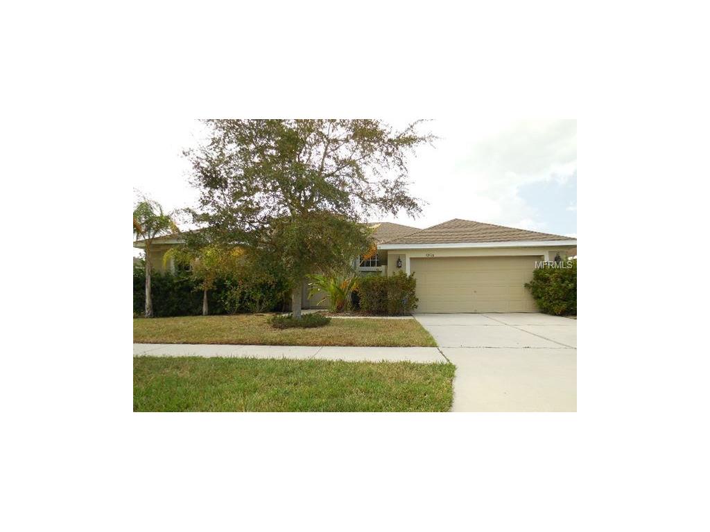 10916 Rockledge View Dr, Riverview, FL 33579 photo 1
