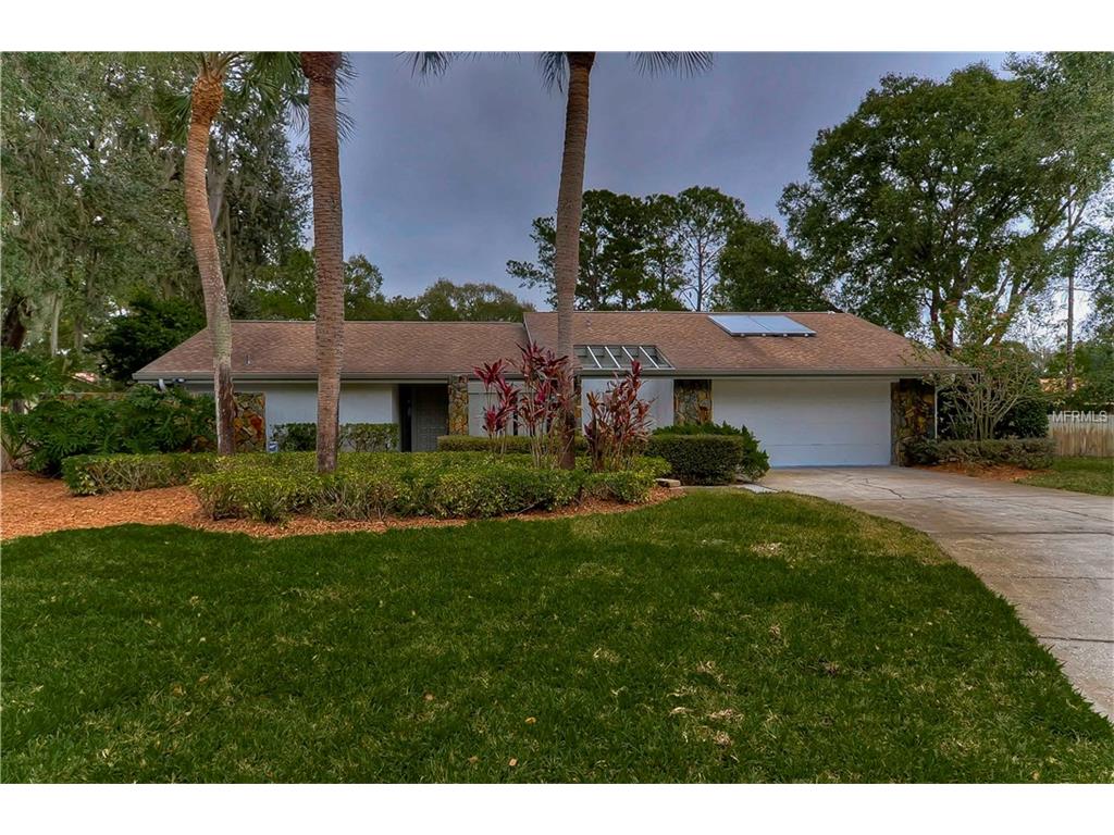 18509 Turtle Dr, Lutz, FL 33548 photo 1
