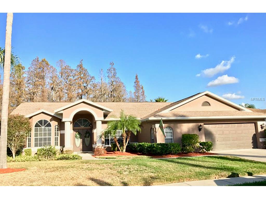 1346 Kinsmere Dr, Trinity, FL 34655 photo 1