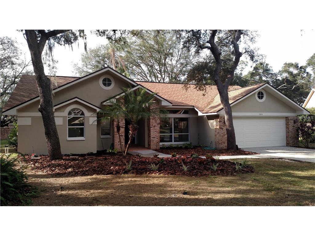 3806 Buckingham Loop Dr, Valrico, FL 33594 photo 1