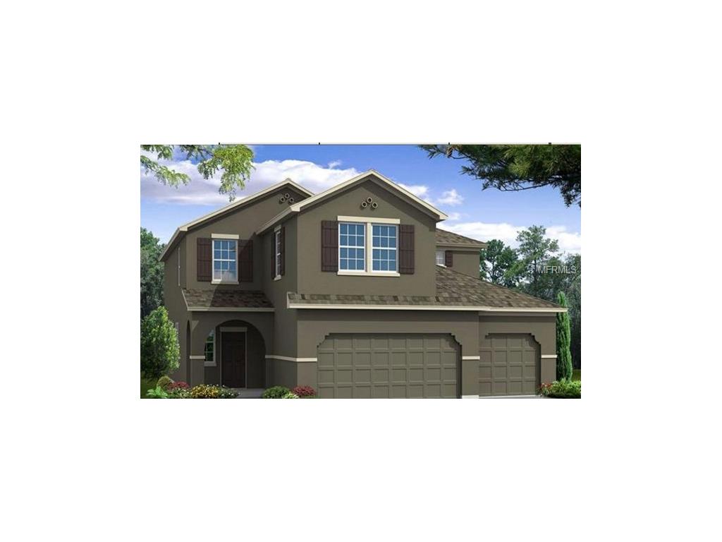 13342 Palmera Vis, Riverview, FL 33579 photo 1