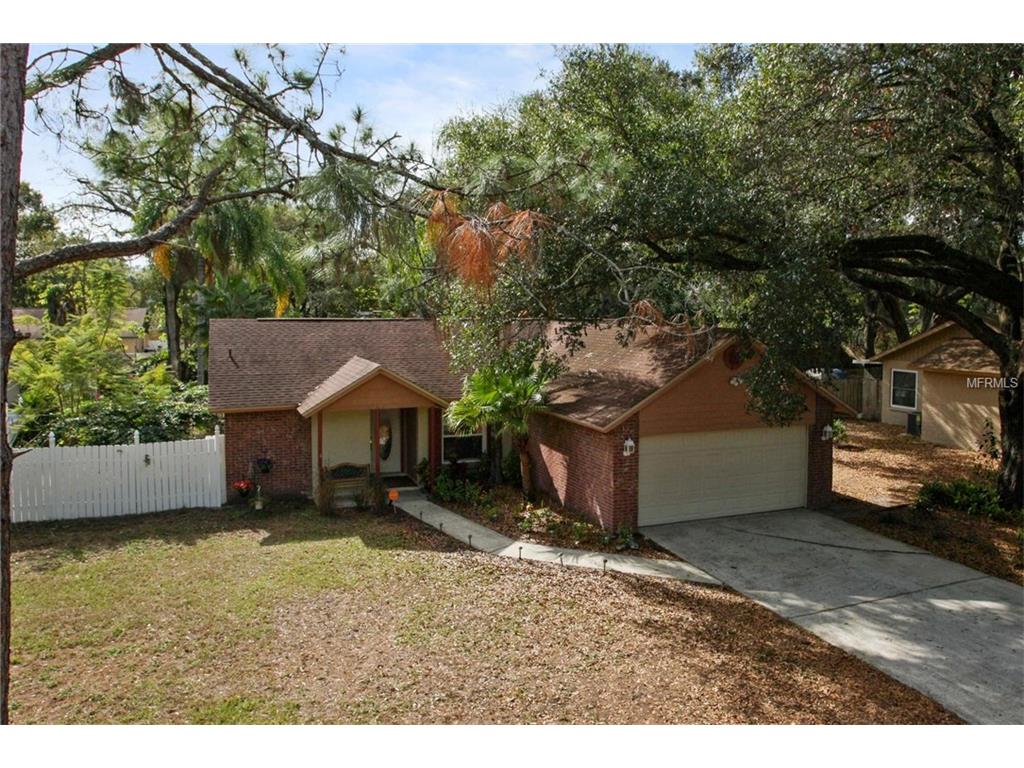 1925 Dove Field Pl, Brandon, FL 33510 photo 1