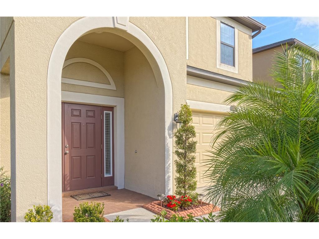 11610 Palmetto Pine St, Riverview, FL 33569 photo 1