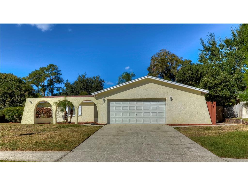 3928 Casaba Loop, Valrico, FL 33596 photo 1