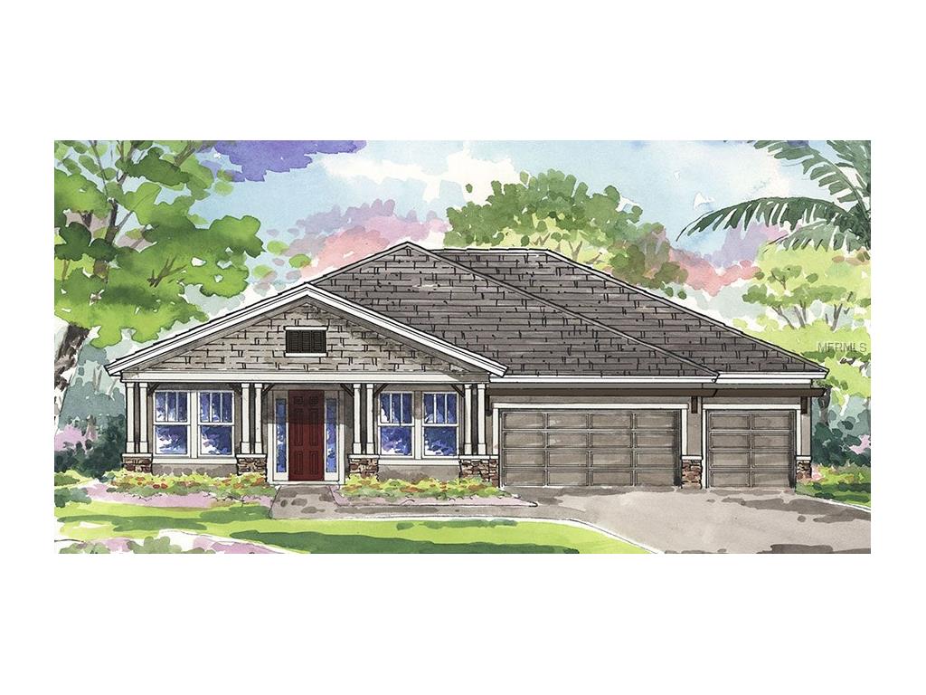 6929 Crestpoint Dr, Apollo Beach, FL 33572 photo 1