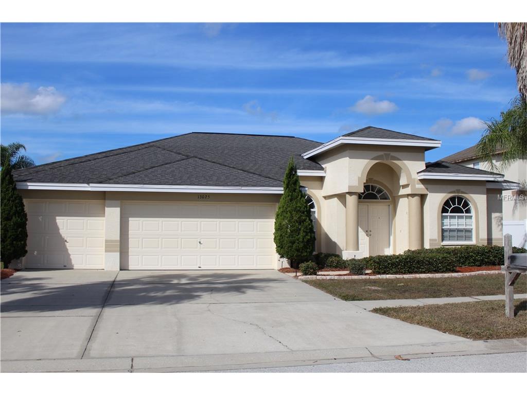13025 Brant Tree Dr, Riverview, FL 33579 photo 1