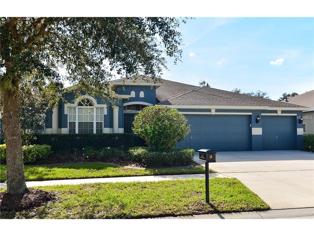 16221 Bridgepark Dr, Lithia, FL 33547 photo 1