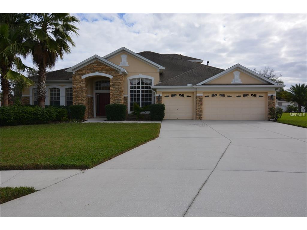 11825 Newberry Grove Loop, Riverview, FL 33579 photo 1