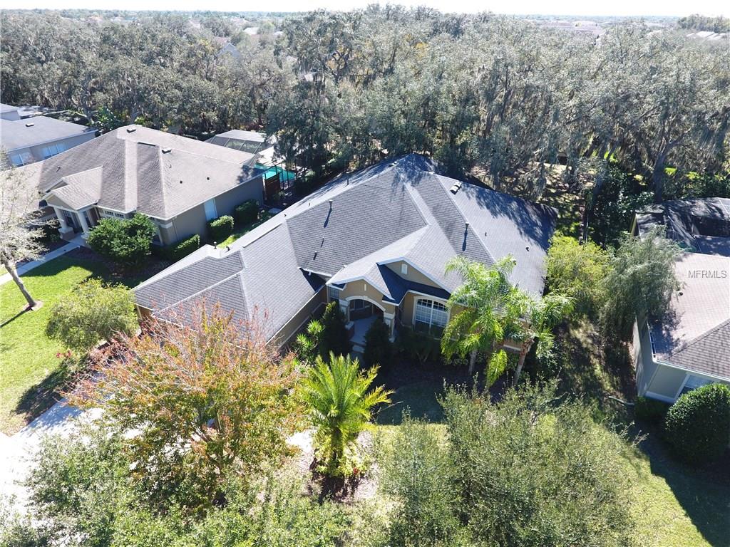 5812 Terncrest Dr, Lithia, FL 33547 photo 1