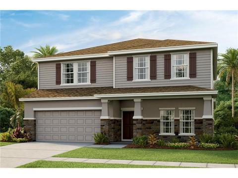 10411 Pleasant Spring Way, Riverview, FL 33578 photo 1