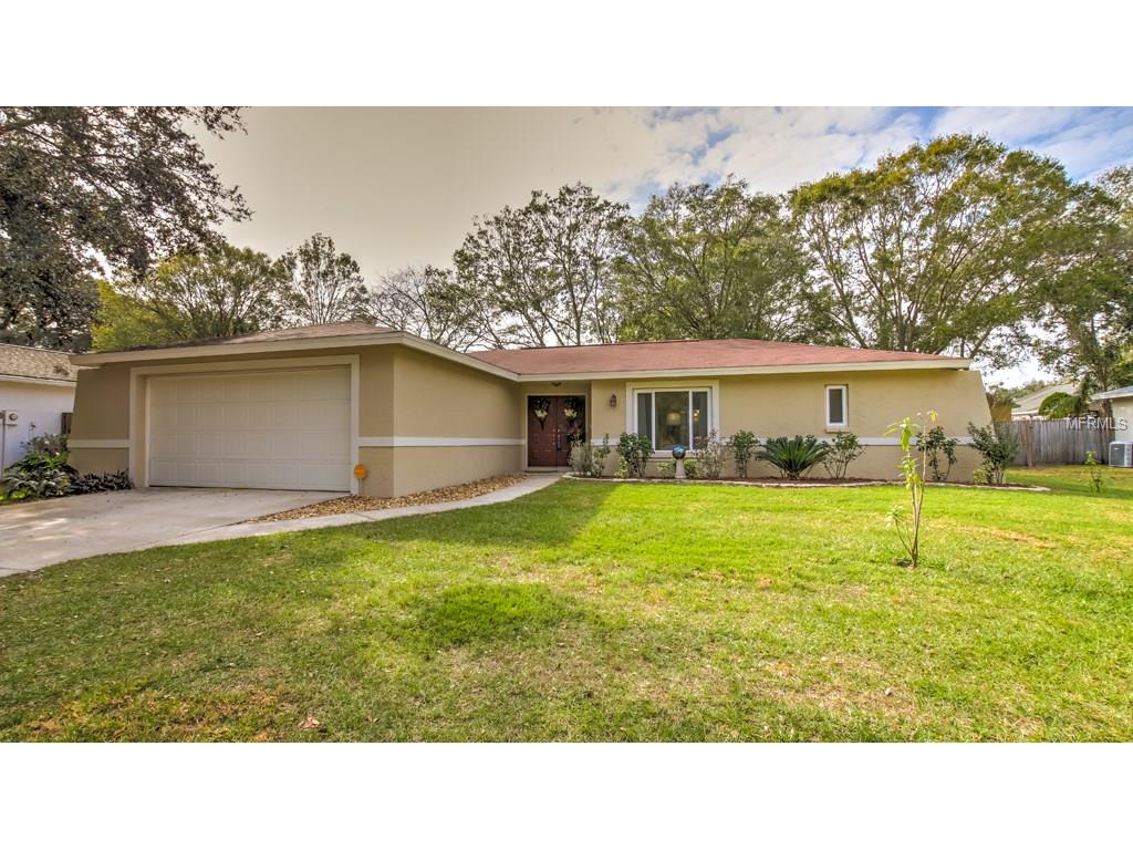 3214 Acapulco Dr, Riverview, FL 33578 photo 1