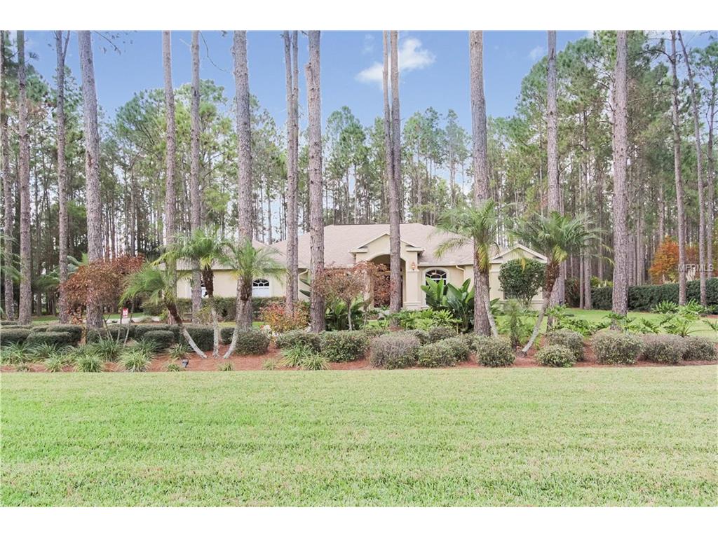 413 Pine Bluff Dr, Lutz, FL 33549 photo 1