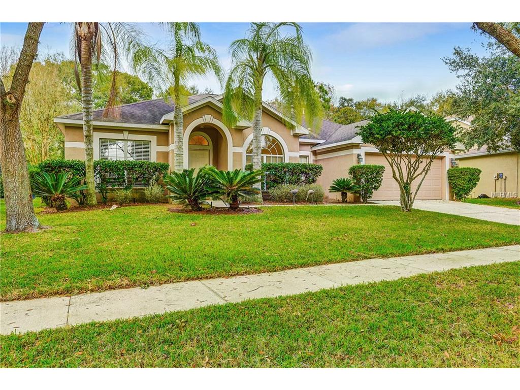 12520 Riverglen Dr, Riverview, FL 33569 photo 1
