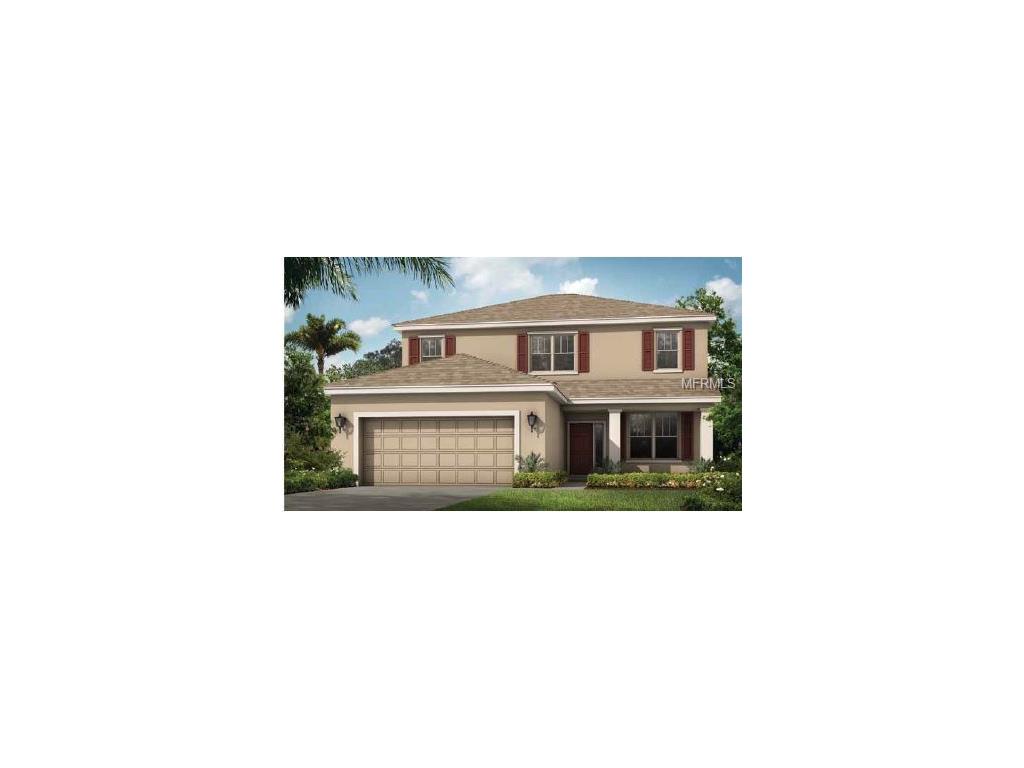 7301 Blue Beech Dr, Riverview, FL 33578 photo 1