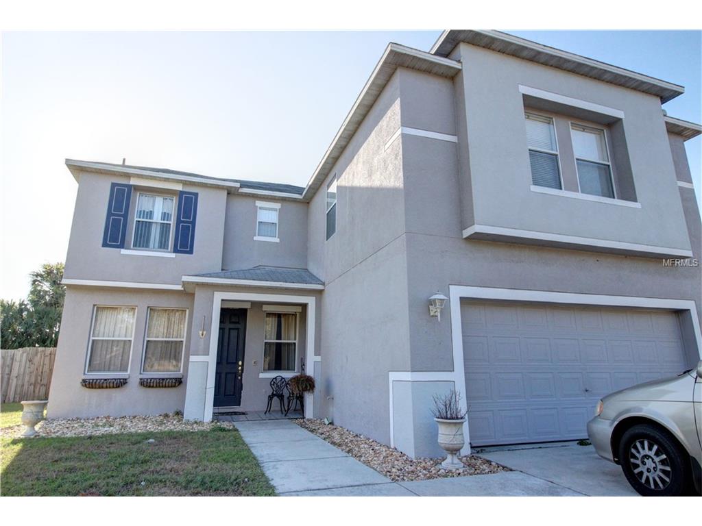 10417 Frog Pond Dr, Riverview, FL 33569 photo 1